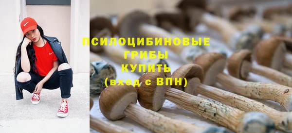 PSILOCYBIN Абдулино