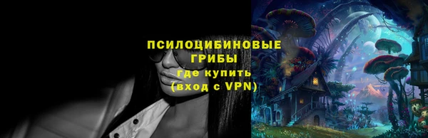 стафф Абаза