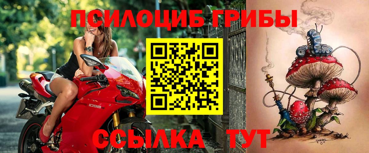 Галлюциногенные грибы MAGIC MUSHROOMS  Галлюциногенные грибы прущие грибы  Вход с VPN  Сыктывкар 
